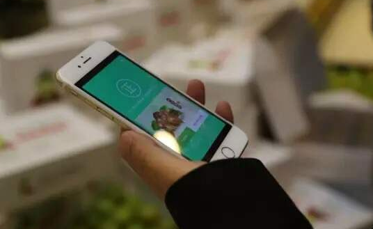 中藥飲片生產(chǎn)信息追溯管理系統(tǒng) 中藥飲片生產(chǎn)信息追溯管理系統(tǒng)實(shí)現(xiàn)的意義和價值