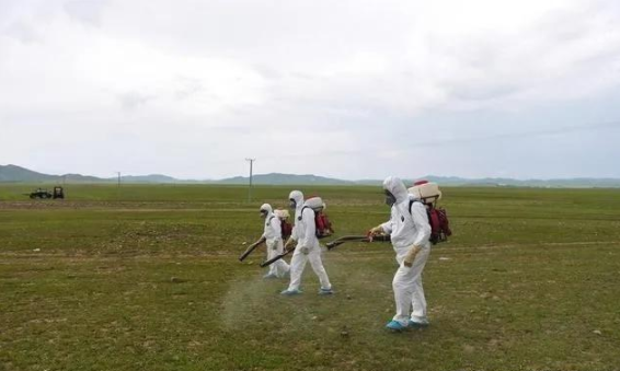 蝗災(zāi)來(lái)襲，農(nóng)藥獸藥防偽溯源面臨機(jī)遇和挑戰(zhàn)