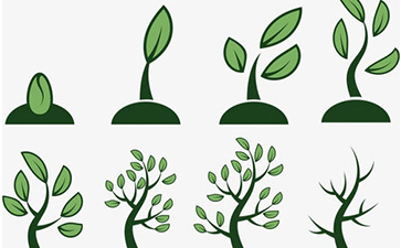 種子防竄貨系統(tǒng)如何實(shí)現(xiàn)？